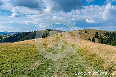 Dirt road leading to the top of the mountain in the Carpathian mountains i Stock Photo