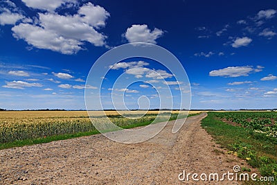 Empty road in beautiful rural landscape Stock Photo