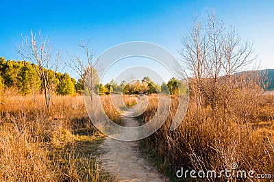 Dirt road in the middle of the mountain surrounded by bushes leading to green trees and mountains Stock Photo