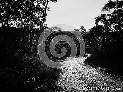 Dirt road on mountain in Australia. Stock Photo