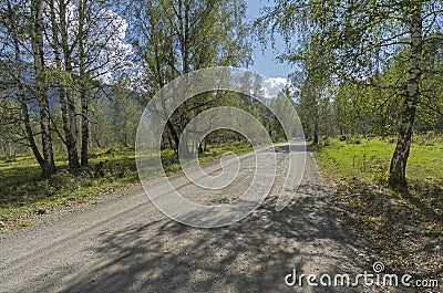 Dirt road in the mountainous Altai, Russia. Stock Photo