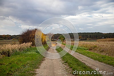 Dirt road in November with cloudy skies, left side with shrubs, right harvested corn field Stock Photo