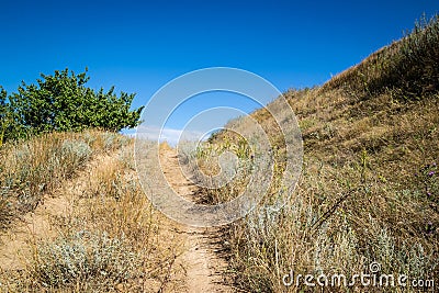 Dirt road overgrown with dry grass leading to the top of the hill.on a Sunny summer day Stock Photo