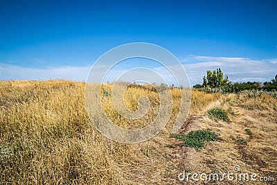 Dirt road overgrown with dry grass leading to the top of the hill.on a Sunny summer day Stock Photo