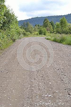 The dirt road passes through the forest. Stock Photo