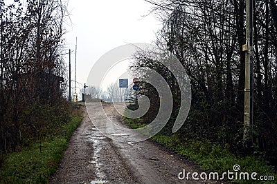 Dirt road with puddles in a grove on a clou day in winter Stock Photo