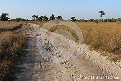 A dirt road at the Strabrechtse Heide Stock Photo
