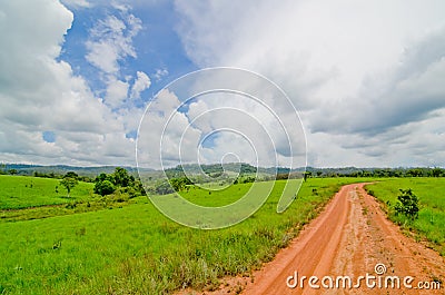 The dirt road on the savanna field leading to the horizon Stock Photo