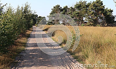 A dirt road at the Strabrechtse Heide Stock Photo