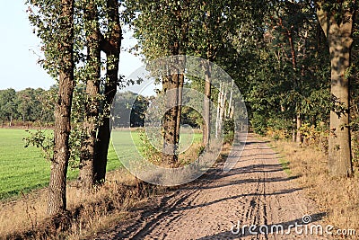 A dirt road at the Strabrechtse Heide Stock Photo