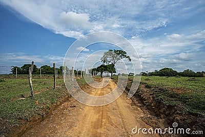 Dirt road and tree in the background. Stock Photo