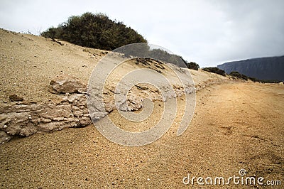 Dirt (sand) road Stock Photo