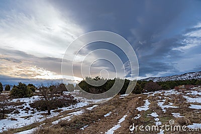 Dirt snowy road leading to the pine forest with lonely tree and dramatic sunset sky over the mountain. Russia, Stary Krym. Stock Photo
