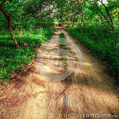 Dirt Track Stock Photo