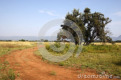 Dirt track Stock Photo