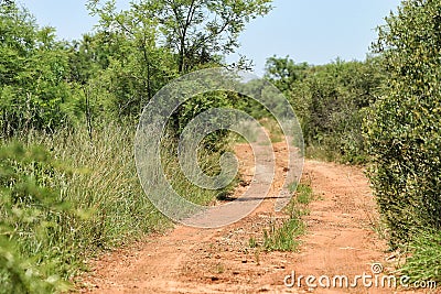 Dirt track Stock Photo