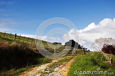 Dirt track to farm gate Stock Photo