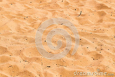 Dirty beach sand surface as summer season background Stock Photo