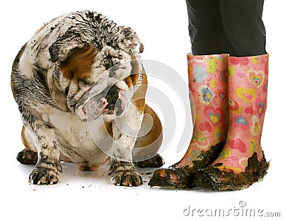 Dirty boots and dirty dog Stock Photo