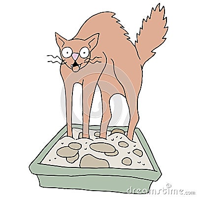 Dirty Cat Litter Box Vector Illustration