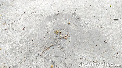 Dirty concrete floor in the river dam by a falling branch Stock Photo