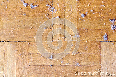 Dirty dusty wooden floor Stock Photo