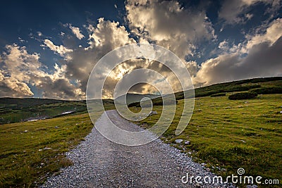 Dirty gravel road through fresh, green, grassy Alpine meadow to Dambockhaus and Fischerhutte from Puchberg Stock Photo