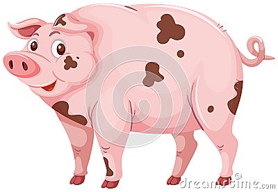 A dirty mud pig Vector Illustration