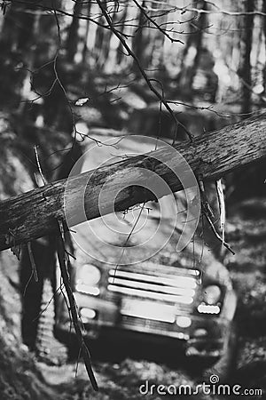 Dirty offroad cars overcome obstacles in fall forest, selective focus. Stock Photo