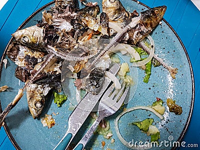 Dirty plate with fish leftovers Stock Photo