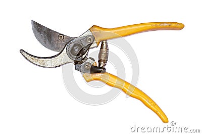 Dirty pruner Stock Photo