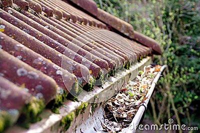 Dirty roof and gutter requiring cleaning Stock Photo