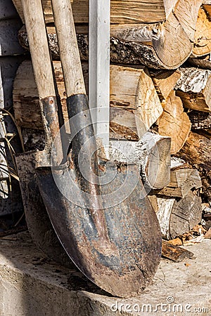 Dirty shovels stand next to the wood. Downshifting during the covid epidemic. Garden work Stock Photo