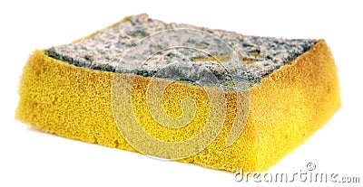 Dirty sponge Stock Photo