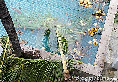 Dirty swimming pool Stock Photo