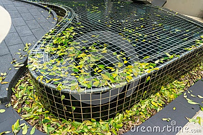 Dirty swimming pool with many foliage Stock Photo