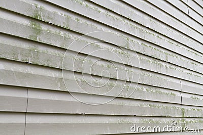 Dirty Vinyl Siding Needs Power Washing Stock Photo