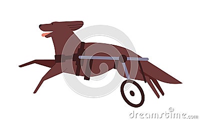 Disabled dog flat vector illustration. Pet with spinal wheelchair. Invalid puppy active lifestyle concept. Running hound Vector Illustration