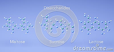 Disaccharide - maltose, sucrose, lactose, molecular structures, 3d rendering, Structural Chemical Formula Stock Photo