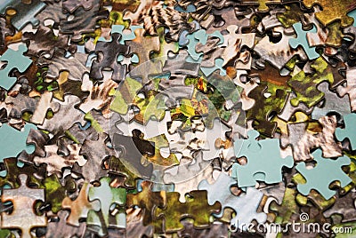 disassembled puzzles, attentiveness Stock Photo