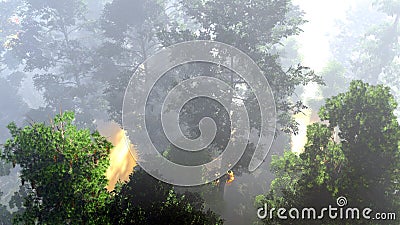 Disaster with fire in the forest 3d rendering Stock Photo