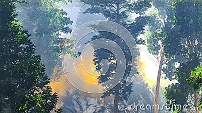 Disaster with fire in the forest 3d rendering Stock Photo