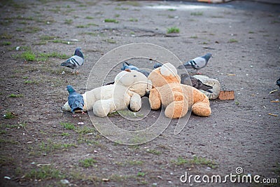 Discarded children`s toys on the ground Stock Photo