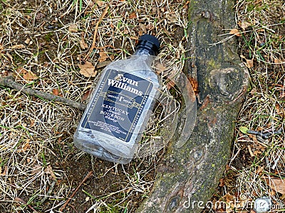 Discarded Empty Kentucky Bourbon Bottle near a Tree Root Editorial Stock Photo