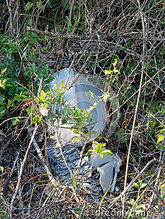 Discarded old car battery falling apart in hedge. Enviromental p Stock Photo