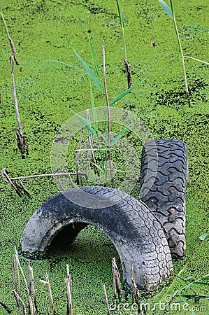 Discarded old tyres in contaminated pond puddle, water pollution Stock Photo