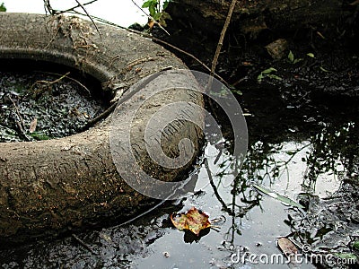 Discarded Tire Stock Photo