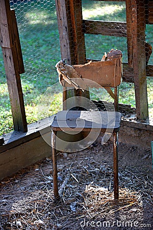 Discarded to the Chicken Coup Stock Photo