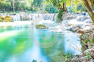 Discover the Serene Tropical Forest of Saraburi, Thailand Stock Photo