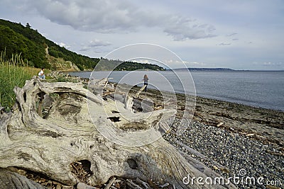Discovery park seattle beach northwest quiet Editorial Stock Photo